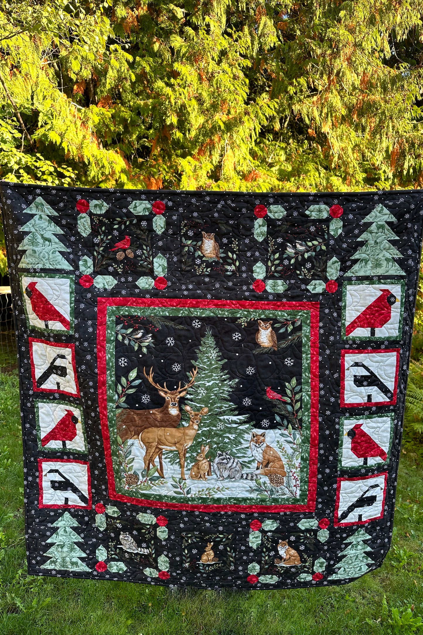 Wonderland Quilt Pattern