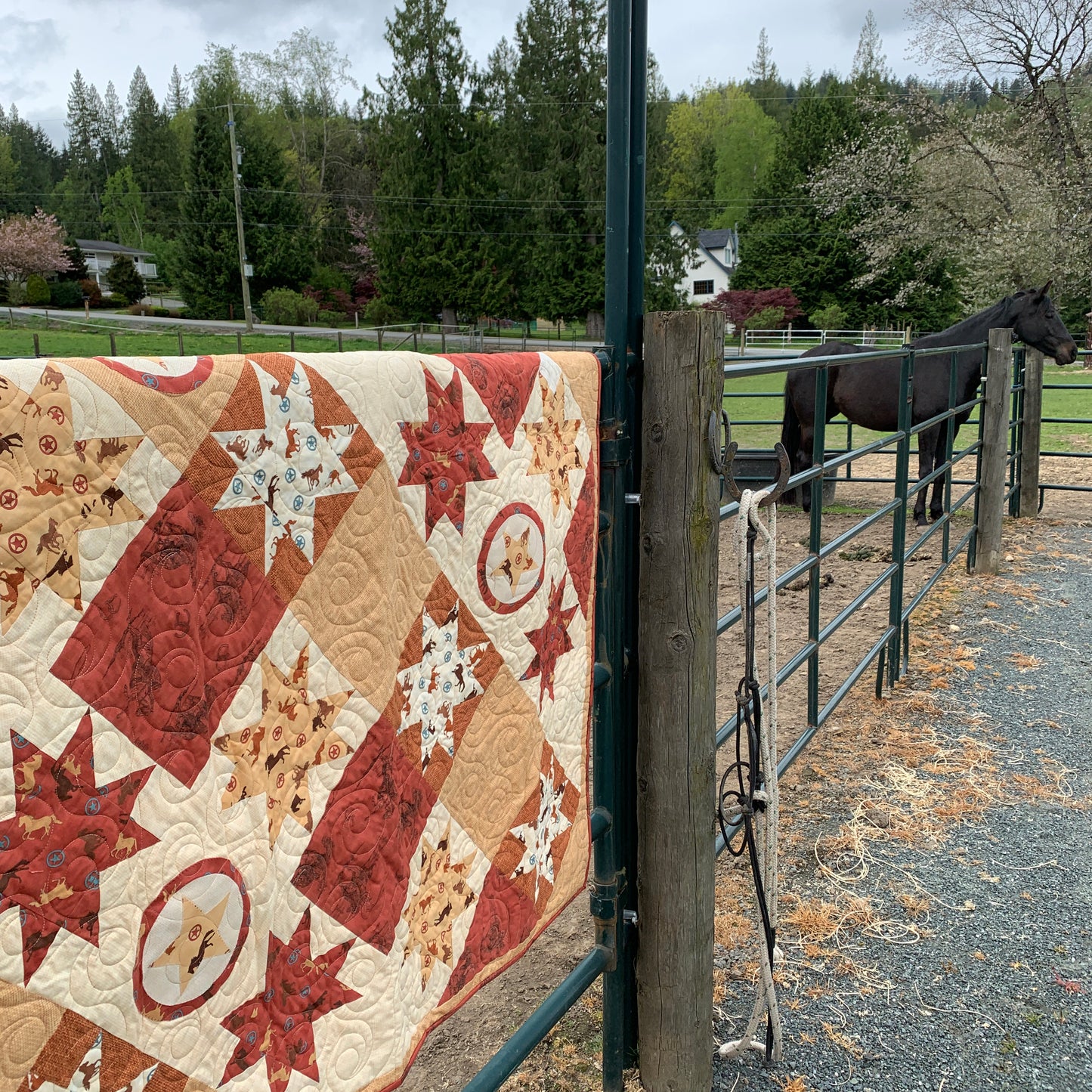 Under the Stars Quilt Pattern