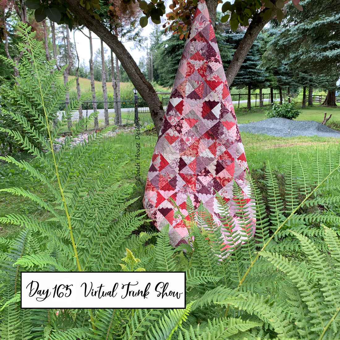 Day 165 of my Virtual Trunk Show - Josephine