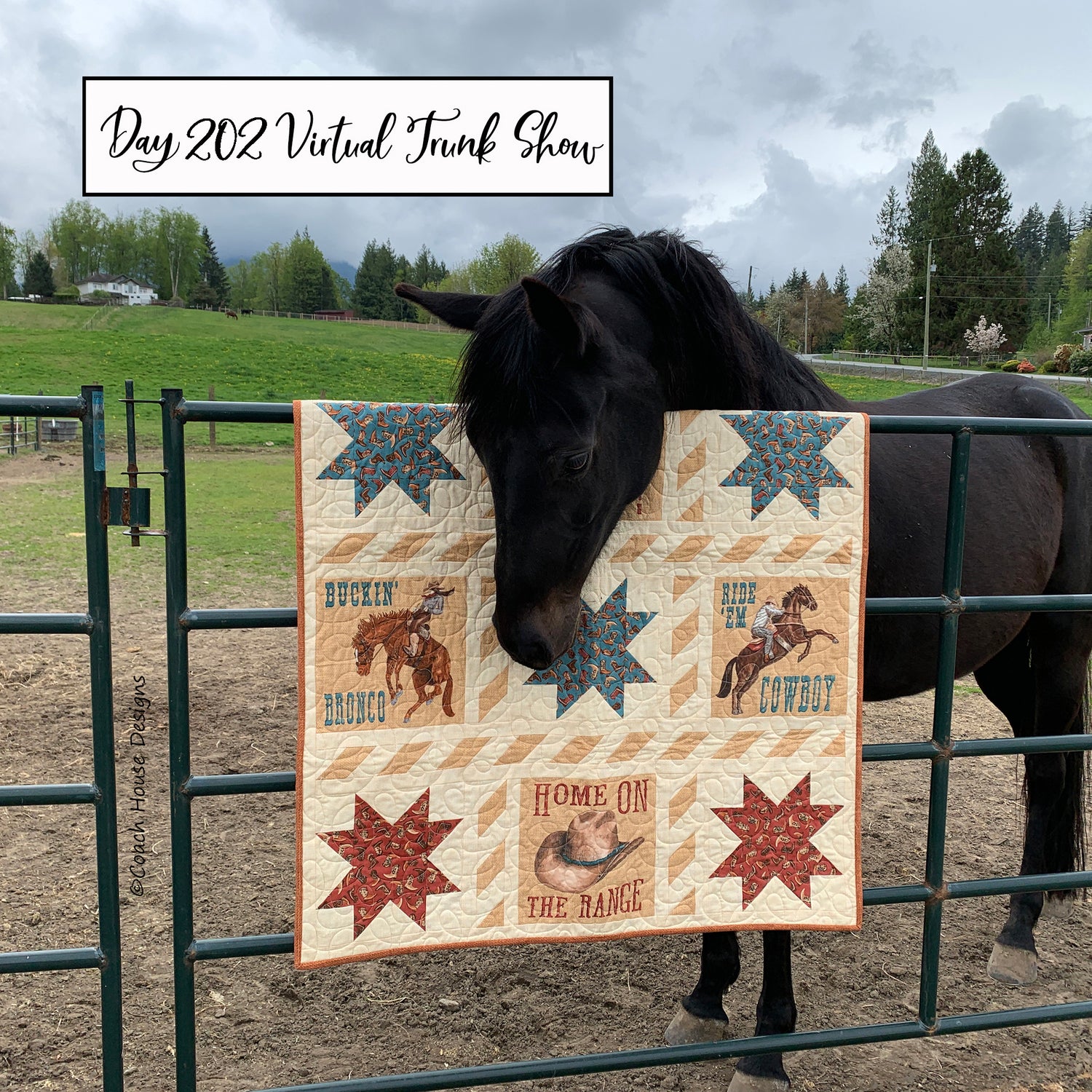 Day 202 of my Virtual Trunk Show - My Buckaroo